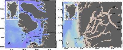 Hydrography-Driven Optical Domains in the Vaigat-Disko Bay and Godthabsfjord: Effects of Glacial Meltwater Discharge